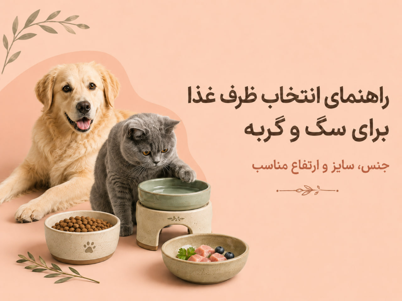 راهنمای انتخاب ظرف غذا برای سگ و گربه
